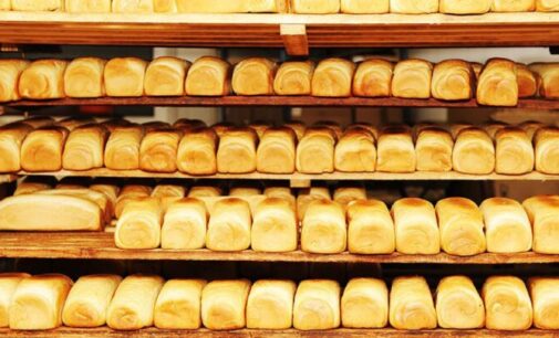 ALERT: Bakers ask Nigerians to expect 50 percent increase in bread prices