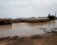 SSG: 17,000 communities submerged by flood in Niger