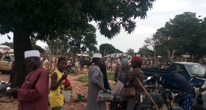 INSIDE STORY: The Oyo community where farmers, herders live together peacefully