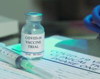 Russia’s COVID-19 vaccine ‘records success’ in early trials