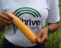 Thrive Agric receives $1.75m grant to assist 50,000 farmers