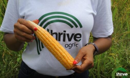 ‘Farms, NOT investors’ funds, are insured’ — Thrive Agric faces repayment challenges