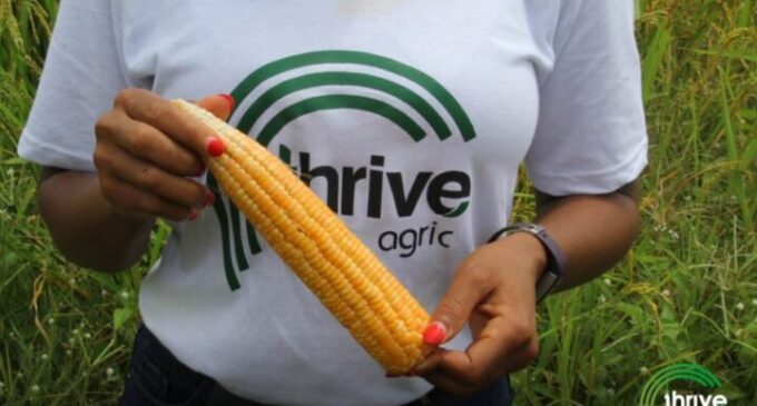 Thrive Agric announces refund of overdue payments to investors — a year after repayment challenges