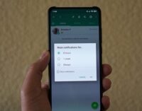 WhatsApp allows users to mute chats forever