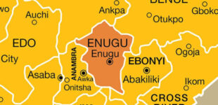 16 passengers burnt to death in Enugu auto crash