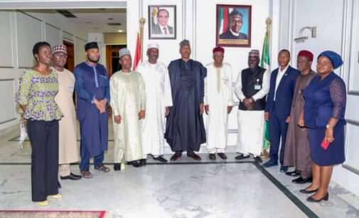Zulum leads team to Egypt over proposed Borno teaching hospital