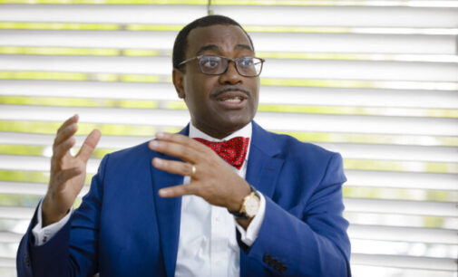 Akinwumi Adesina: Despite paying high taxes, Nigerians still provide water, electricity for themselves