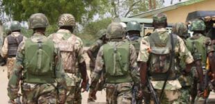 Troops kill two ‘terrorists’, recover weapons in Borno