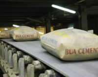 BUA Group: Nigeria needs more cement manufacturers to crash prices
