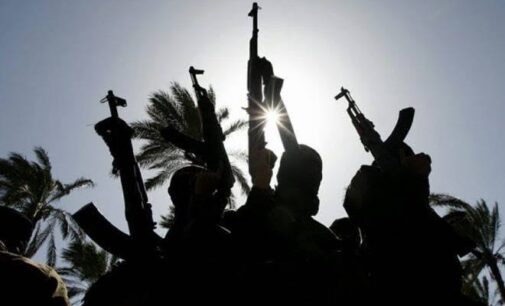 Police: Unknown gunmen forcing Borno residents to flee to Yobe