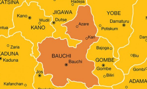 10 killed, houses destroyed in Bauchi flood