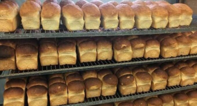 Bread scarcity looms as bakers mull shutdown over diesel price hike