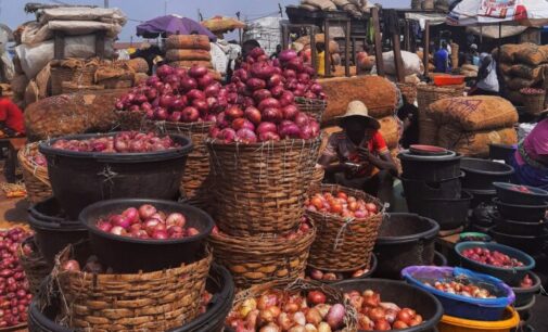 Niger-imported onions ‘turn gold’ as floods ruin harvest in Nigeria