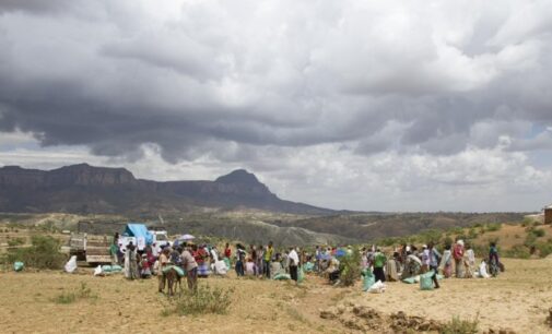 Report: Ethiopian police searching for ethnic Tigrayans amid fears of civil war
