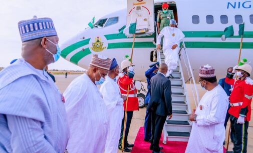 President Buhari’s precious cows and politics of insensitivity