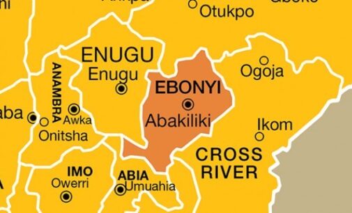 Miyetti Allah condemns ‘heartbreaking’ Ebonyi killings, says culprits must be found