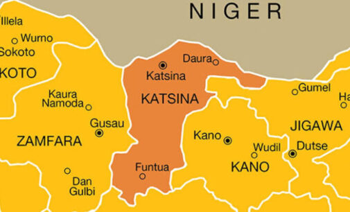 12 killed as gunmen invade Katsina community