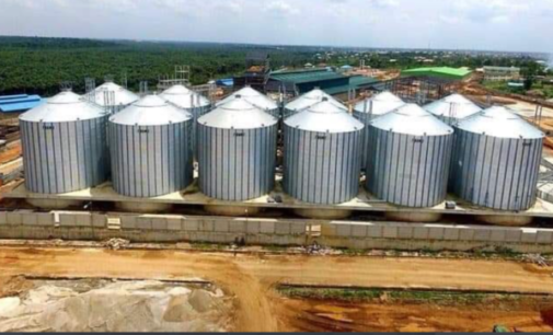 Lagos multi-billion naira rice mill nears completion