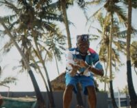 WATCH: DJ Spinall enlists Fireboy for ‘Sere’ visuals