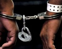 Adamawa police arrest two pastors over ‘extra-marital affair’