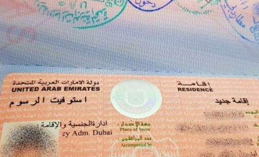 UAE adopts new law granting citizenship to investors, professionals