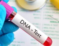 ‘Raising a child that’s not yours is costlier’ — DNA test sparks argument on Twitter