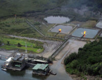 Reps, DPR bicker over revocation of Dawes Island marginal oilfield