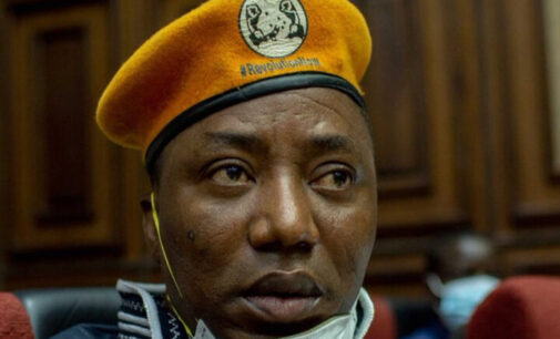 Sowore sues police officer ‘who fired teargas canister at him’