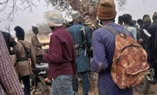 Insurgents, bandits ‘occupy 1,129 sqm’ of Nigeria’s forest reserves