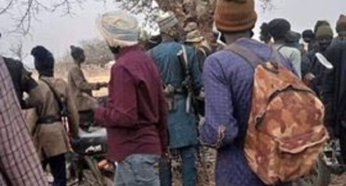 Insurgents, bandits ‘occupy 1,129 sqm’ of Nigeria’s forest reserves