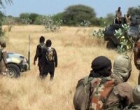 Boko Haram kills eight, razes village in Borno