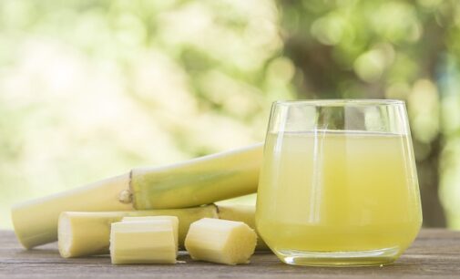 Sugarcane can boost sperm count, conception, says nutritionist