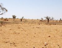 Climate change: AfDB, IMF urge African nations to mobilise $1.6trn by 2030
