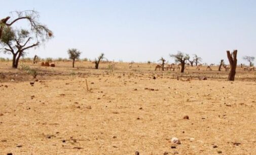 Climate Facts: Africa’s agricultural outputs dropped by 34% since 1961 due to climate change, says UN