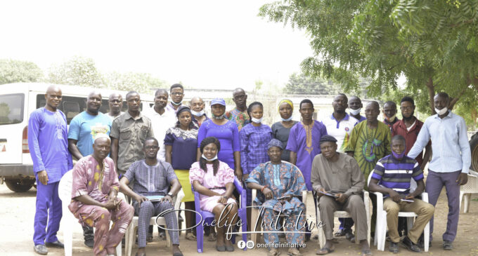 240mt of cassava roots daily: Replicating the success of Ado Awaye in Ikole Ekiti