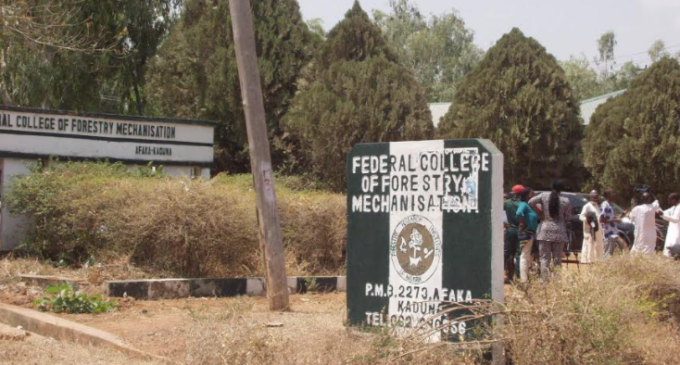 Five of 39 students abducted from Kaduna school regain freedom