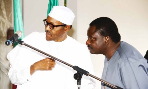 Femi Adesina: Buhari determined to leave a legacy of strong democratic institutions