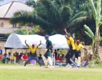 Cricket: Lagos, Kaduna meet in men’s championship semis