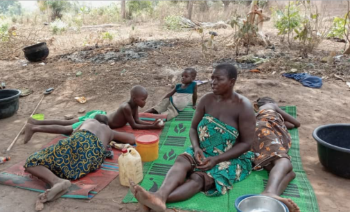 INSIDE STORY: How herders-farmers crisis has turned Nigerians to refugees in Benin Republic