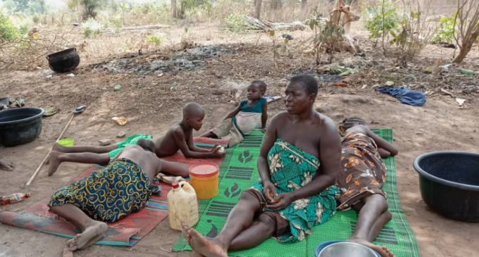 INSIDE STORY: How herders-farmers crisis has turned Nigerians to refugees in Benin Republic