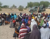’31 insurgents’ killed as troops rescue 60 women, children from Boko Haram captivity