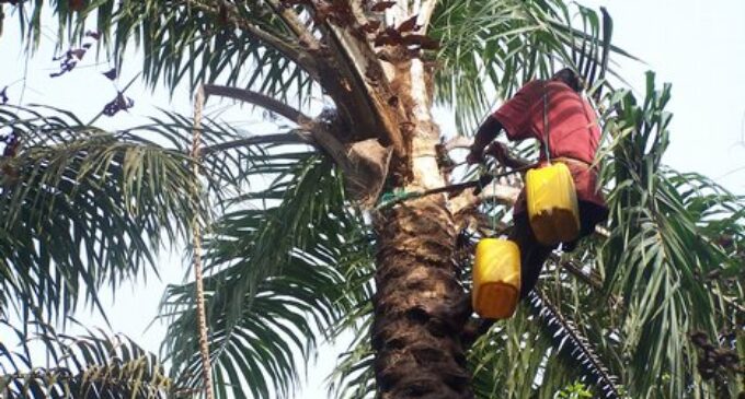 Police rescue abducted palmwine tapper in Oyo