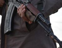 ‘29 insurgents’ killed as ISWAP, Boko Haram clash in Borno