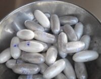 NDLEA: 8,268kg of hard drugs seized in seven states within one week