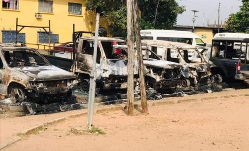 SANs condemn attacks in south-east, ask FG to embrace dialogue