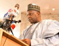Gombe governor: How we’ve maintained peace despite insecurity in north-east