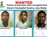 Report: FG seeks INTERPOL’s support to arrest over 3,400 escaped inmates