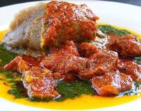 EXTRA: We used to go in search of amala and ewedu in Ibadan, says Zulum