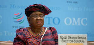 Okonjo-Iweala: Nigeria needs to diversify to attract investment, boost trade surplus
