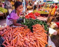 APPLY: USAID launches $3m grant to support food companies in Nigeria